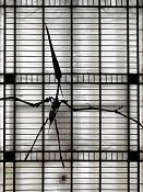 galerie de paleontologie et de anatomie comparee 5-2013 1310